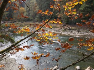 snoqualmiefalls-seattle-1